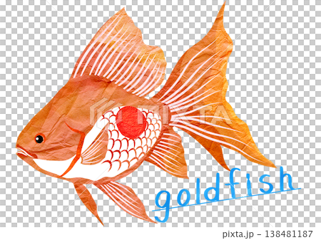 A goldfish carrying the Japanese flag – truly a representative of Japan, a paper-cut collage illustration. 138481187