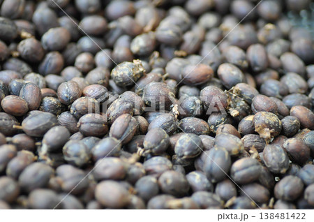coffee bean or coffee seed or dry the coffee seed coffee bean or coffee seed or dry the coffee seed 138481422