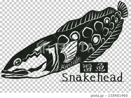 這是一幅令人毛骨悚然的剪紙拼貼畫,描繪了一條蛇頭魚,這是一種入侵物種,可能會吃光日本所有的魚類。 這是一幅令人毛骨悚然的剪紙拼貼畫,描繪了一條蛇頭魚,這是一種入侵物種,可能會吃光日本所有的魚類。 138481460