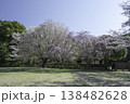 しだれ桜79 138482628