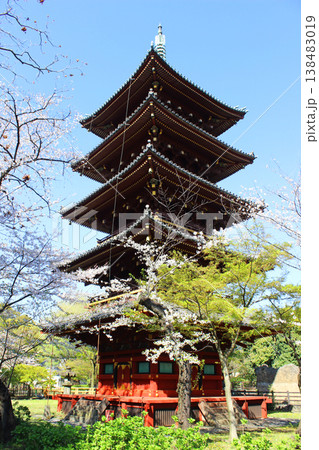 寛永寺 五重塔 寛永寺 五重塔 138483019
