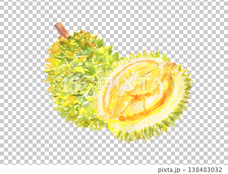 榴槤水彩插畫 138483032