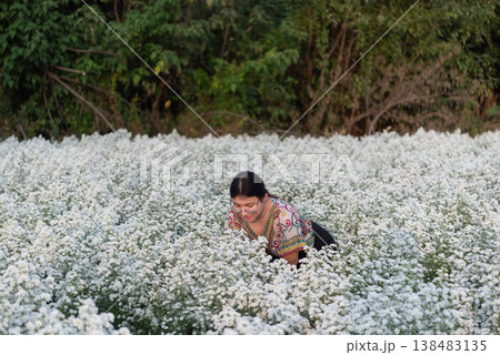 lgbtq person among white flower field natural outdoor landscape soft light serene atmosphere identity expression peaceful lifestyle nature beauty lgbtq person among white flower field natural outdoor landscape soft light serene atmosphere identity expression peaceful lifestyle nature beauty 138483135