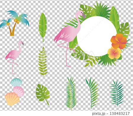 Summer tropical illustration set: flamingos, palm trees, hibiscus, leaf frames, decorations, design materials. Summer tropical illustration set: flamingos, palm trees, hibiscus, leaf frames, decorations, design materials. 138483217