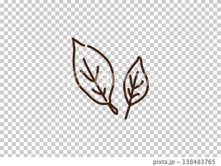 茶葉　生　線画 138483765