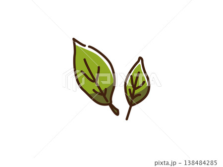 茶葉 生 カラー 茶葉 生 カラー 138484285