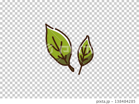 茶葉 生 カラー 茶葉 生 カラー 138484285