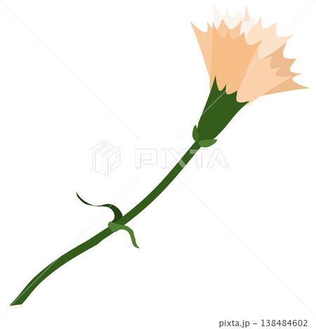 薄いオレンジ色のシンプルなカーネーションのイラスト 138484602