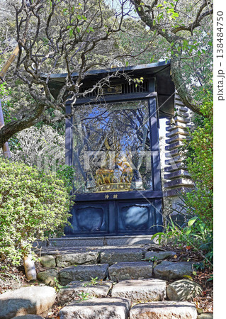 井口院(三鷹) 井口院(三鷹) 138484750
