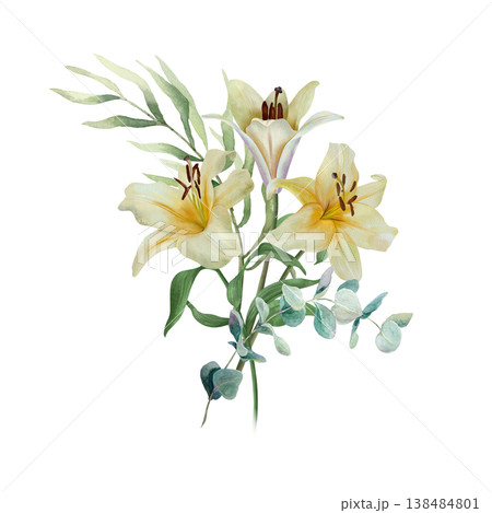 White lilies. Bouquet of delicate pastel flowers with a sprig of eucalyptus. Hand drawn watercolor illustration, isolated. For wedding invitations, birthday cards, Easter, funerals and baptisms. White lilies. Bouquet of delicate pastel flowers with a sprig of eucalyptus. Hand drawn watercolor illustration, isolated. For wedding invitations, birthday cards, Easter, funerals and baptisms. 138484801