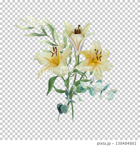 White lilies. Bouquet of delicate pastel flowers with a sprig of eucalyptus. Hand drawn watercolor illustration, isolated. For wedding invitations, birthday cards, Easter, funerals and baptisms. 138484801