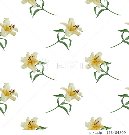 White lilies seamless pattern. Hand drawn watercolor illustration of delicate pastel flowers, isolated. Suitable for textiles, wrapping paper, covers and napkins. 138484809
