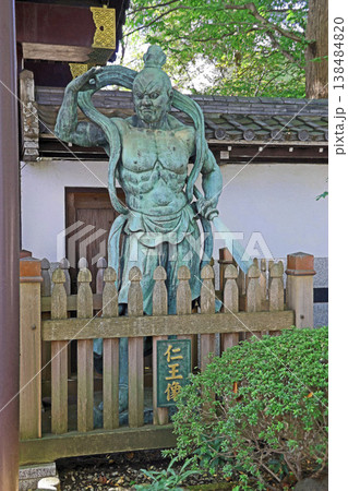 井口院（三鷹） 138484820