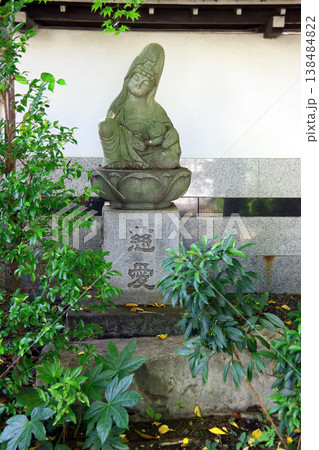 井口院(三鷹) 井口院(三鷹) 138484822
