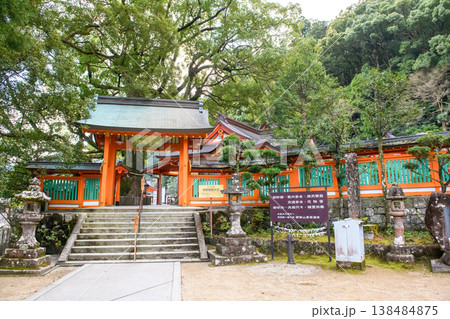 熊野那智大社 那智の樟 和歌山県 熊野那智大社 那智の樟 和歌山県 138484875