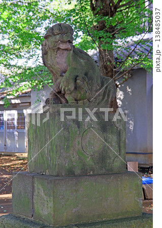 上連雀神明社(三鷹) 上連雀神明社(三鷹) 138485037