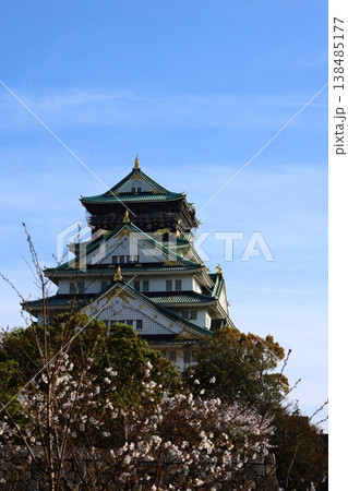 満開の桜と大阪城天守閣の競演 豊臣秀吉ゆかりの城 138485177
