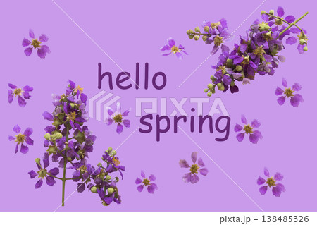 hello spring message card with purple bungor flowers arrangement flat lay postcard style hello spring message card with purple bungor flowers arrangement flat lay postcard style 138485326