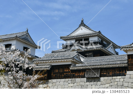 愛媛県 松山城 愛媛県 松山城 138485523