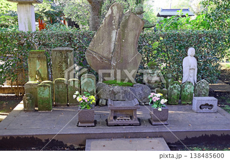 金蔵院(小金井) 金蔵院(小金井) 138485600