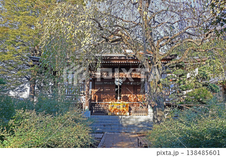 金蔵院（小金井） 138485601