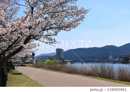 桜が満開の唐橋公園の風景 138485961