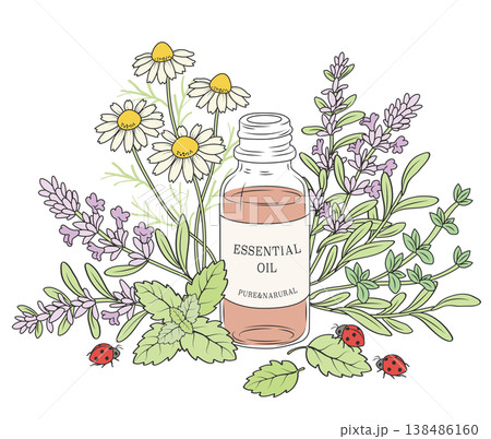 花と精油の香りに誘われて、てんとう虫がやってきた。 138486160