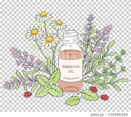 花と精油の香りに誘われて、てんとう虫がやってきた。 138486160