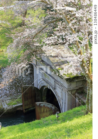 琵琶湖疎水のトンネル東口の春の風景 琵琶湖疎水のトンネル東口の春の風景 138486449