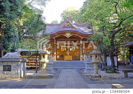 小金井神社(小金井) 小金井神社(小金井) 138486504