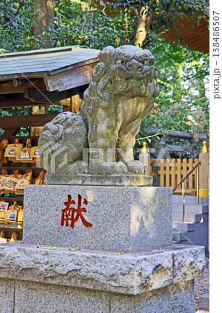 小金井神社（小金井） 138486507