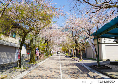 春の谷汲山華厳寺参道（岐阜県揖斐郡揖斐川町） 138486552