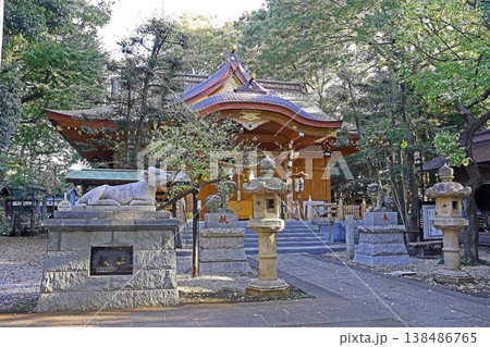 小金井神社(小金井) 小金井神社(小金井) 138486765