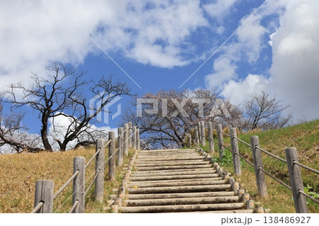 埼玉県行田市さきたま古墳の風景 138486927