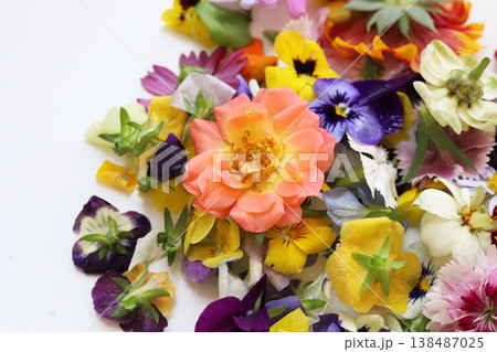 Colorful edible flowers for decorating beautiful food plates. Colorful edible flowers for decorating beautiful food plates. 138487025
