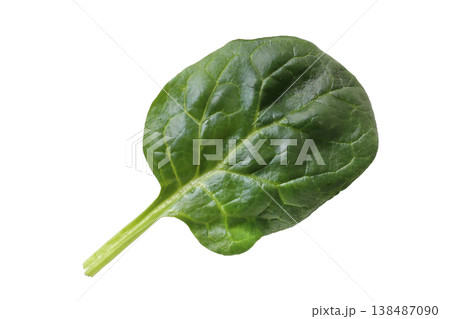 Spinach leaves isolated on white background Spinach leaves isolated on white background 138487090
