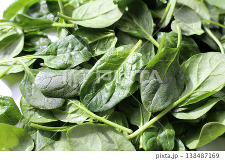 Spinach leaves isolated on white background 138487169