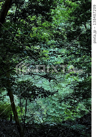 篠栗九大の森 蒲田池 エメラルド色に輝く水面 篠栗九大の森 蒲田池 エメラルド色に輝く水面 138487209