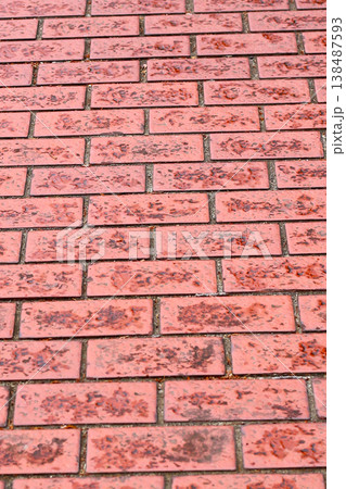 Close-up of a tiled street pavement 138487593