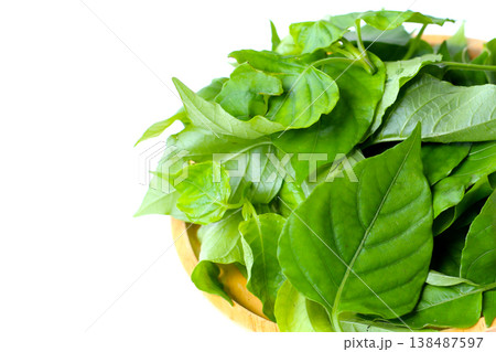 Fresh Sweet Ivy leaves for cooking, Asystasia gangetica (L.) T. Anders. 138487597