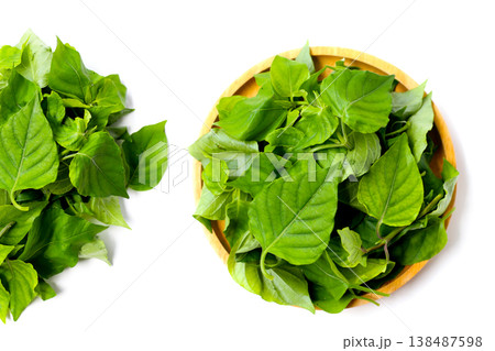 Fresh Sweet Ivy leaves for cooking, Asystasia gangetica (L.) T. Anders. 138487598