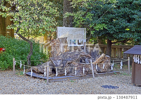 布多天神社（調布） 138487911
