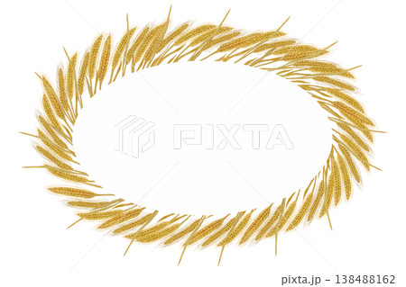 A watercolor oval frame of golden wheat ears on a white background 138488162