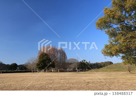 冬枯れの埼玉県行田市のさきたま古墳の風景 冬枯れの埼玉県行田市のさきたま古墳の風景 138488317