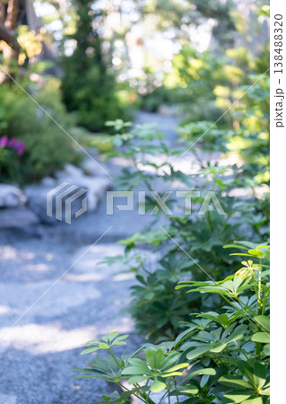 Stone path in the backyard garden with trees along the sides 138488320
