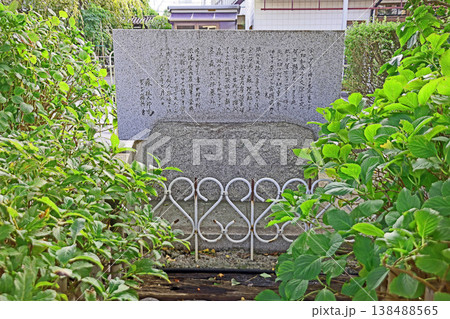 禅林寺(三鷹) 禅林寺(三鷹) 138488565