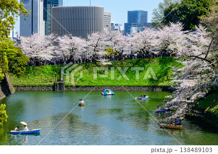 東京都 千鳥ヶ淵 満開の桜 東京都 千鳥ヶ淵 満開の桜 138489103