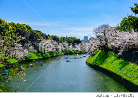 東京都 千鳥ヶ淵 ボート場 満開の桜 令和8年 東京都 千鳥ヶ淵 ボート場 満開の桜 令和8年 138489105