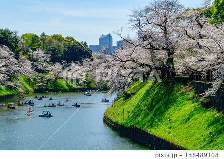 東京都　千鳥ヶ淵　ボート場　満開の桜　令和8年 138489108