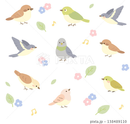 カラフルな鳥のイラストセット 138489110